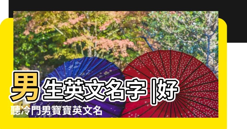 男生英文名字 |好聽冷門男寶寶英文名字一次看 |意義總整理 |【好聽男孩子的英文名字大全】