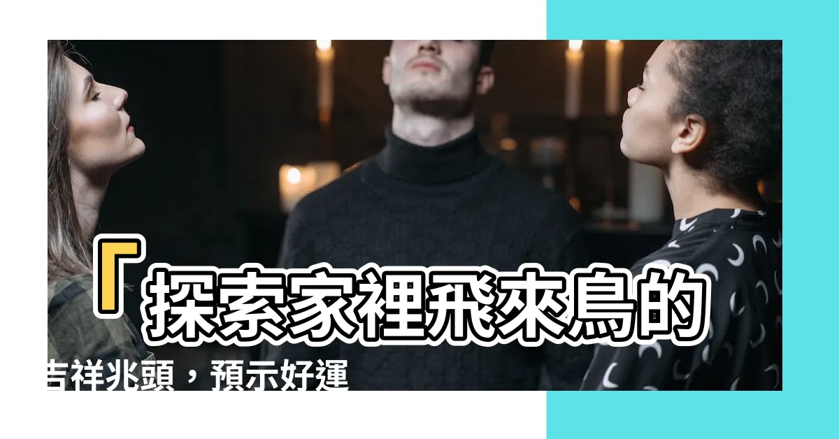 【家裡飛來鳥】「探索家裡飛來鳥的吉祥兆頭，預示好運即將到來」