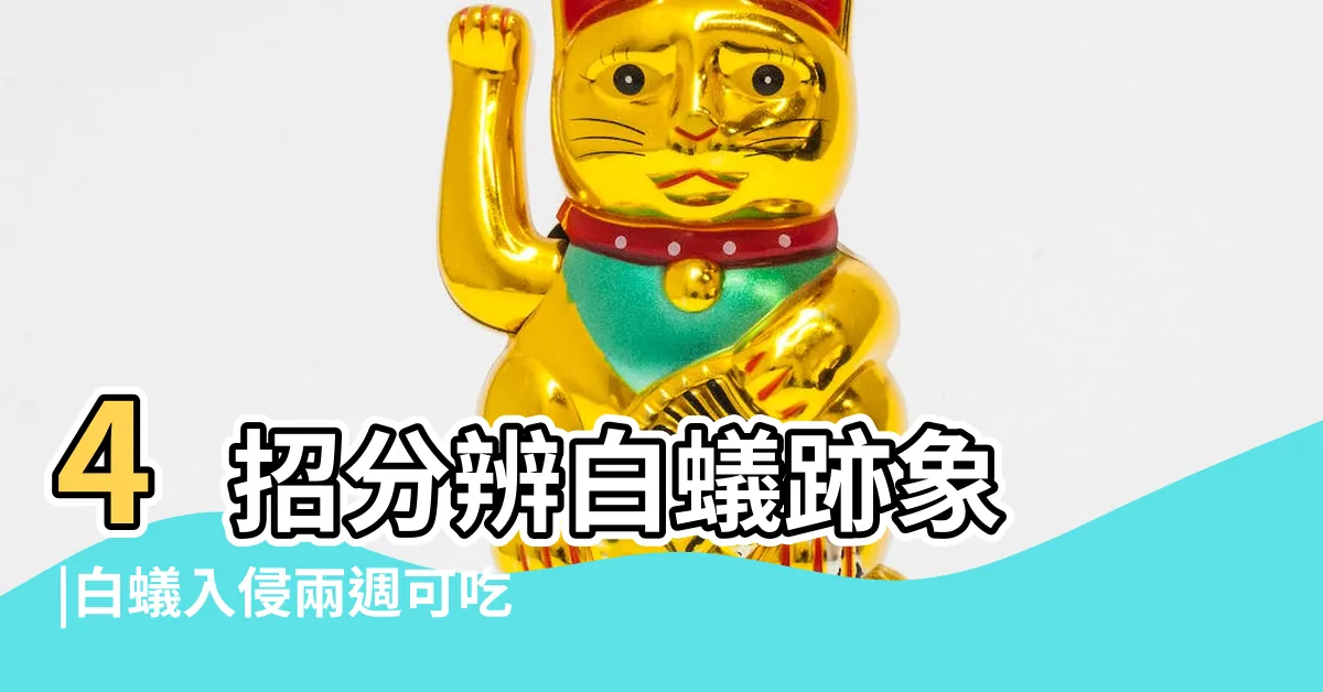【白蟻突然出現】4招分辨白蟻跡象 |白蟻入侵兩週可吃光傢俱 |為什麼家裡有白蟻 |