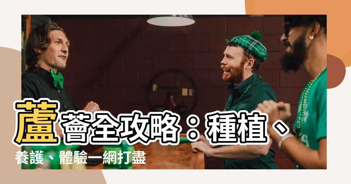 【種蘆薈】蘆薈全攻略：種植、養護、體驗一網打盡！