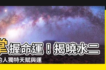 【水二局的人】掌握命運！揭曉水二局的人獨特天賦與運勢走勢
