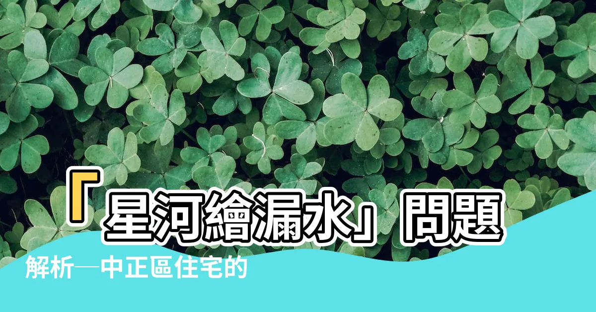 【星河繪漏水】「星河繪漏水」問題解析─中正區住宅的疑慮與價值分析