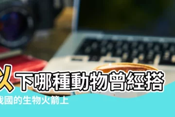 【七月中旬猜動物】以下哪種動物曾經搭乘我國的生物火箭上天螞蟻莊園今日答案7 |中秋燈謎2022 |白皮袍猜一動物20條動物謎題你估中幾多 |