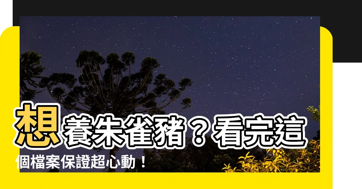 【朱雀豬】想養朱雀豬？看完這個檔案保證超心動！