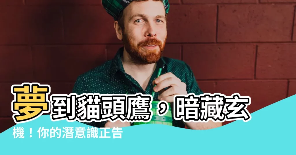 【夢到貓頭鷹】夢到貓頭鷹，暗藏玄機！你的潛意識正告訴你...