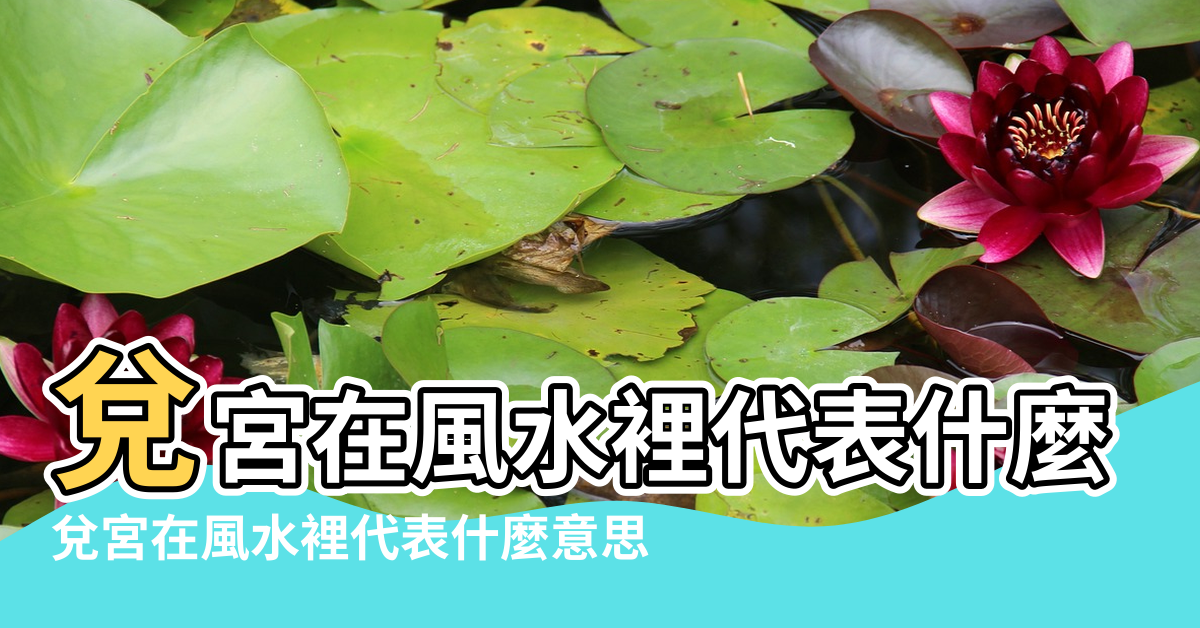 【兌宮在風水裡代表什麼意思】兌宮在風水裡代表什麼 |兌宮在風水裡代表什麼意思 |都是西邊 |