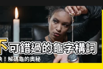 【龜構詞】不可錯過的龜字構詞秘訣！解碼龜的奧秘，化身文字達人