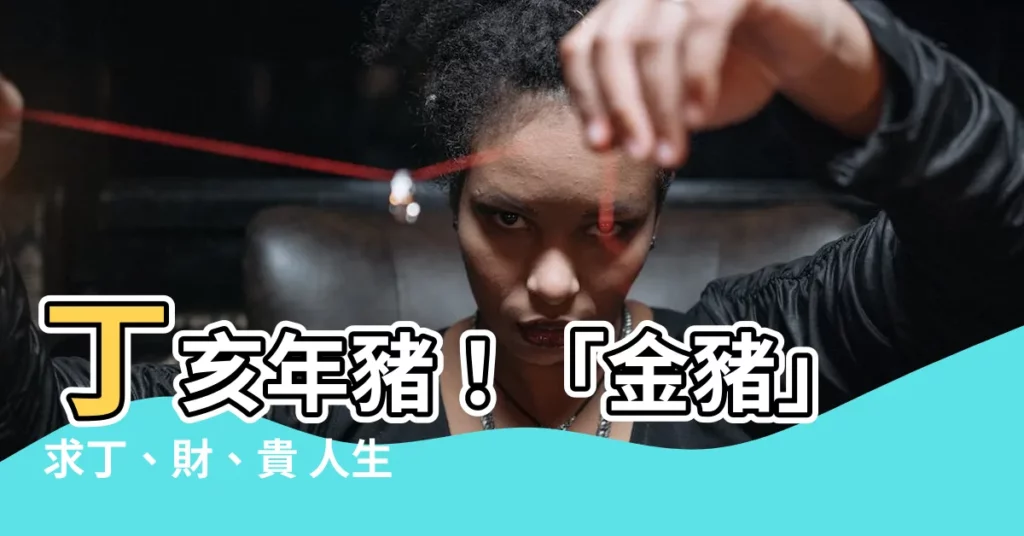 【丁亥年豬】丁亥年豬！「金豬」求丁、財、貴 人生順風順水又逢貴人