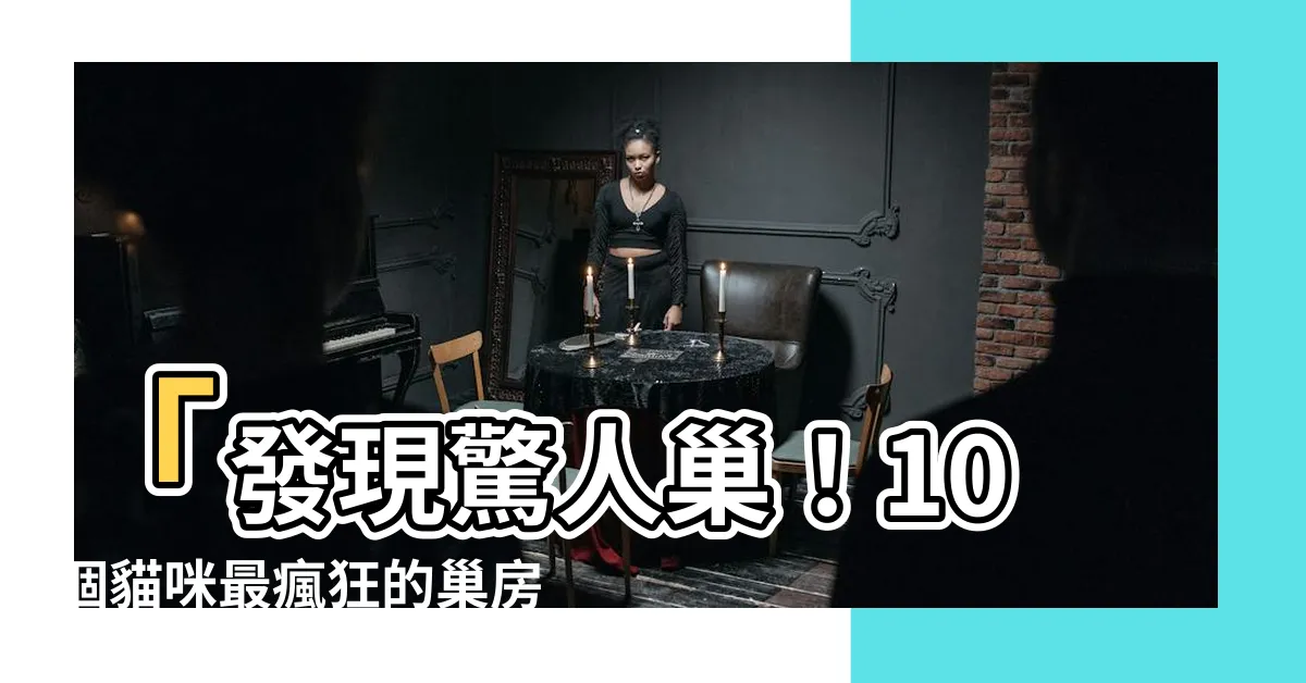 【巢】「發現驚人巢！10個貓咪最瘋狂的巢房造型」