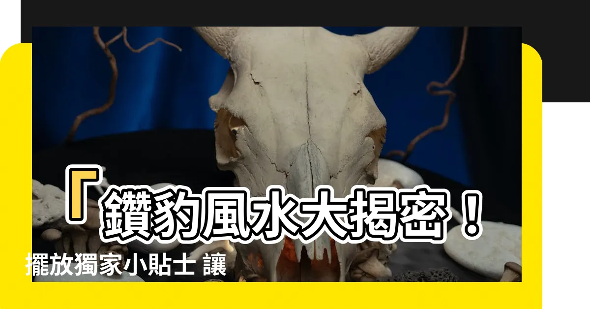 【鑽豹風水】「鑽豹風水大揭密！擺放獨家小貼士 讓財運翻盤！」