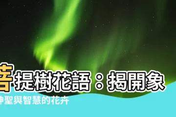 【菩提樹花語】菩提樹花語：揭開象徵神聖與智慧的花卉密語