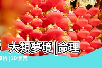 【夢見不好的人很開心】8大類夢境 |命理師解析 |10個常見的 |