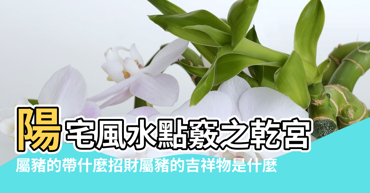 【豬牢風水】陽宅風水點竅之乾宮 |屬豬的帶什麼招財屬豬的吉祥物是什麼 |金色豬存錢罐風水講究 |