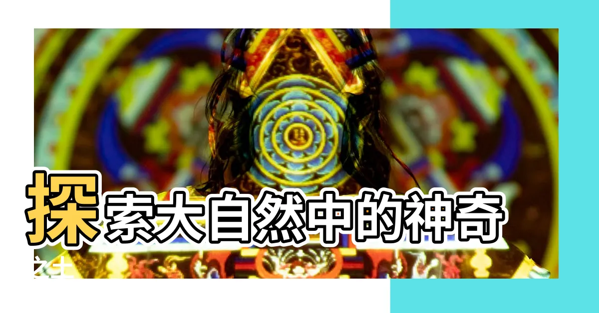 【土】探索大自然中的神奇之土