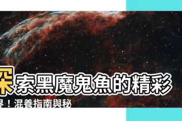 【黑魔鬼魚混養】探索黑魔鬼魚的精彩世界！混養指南與秘訣大公開
