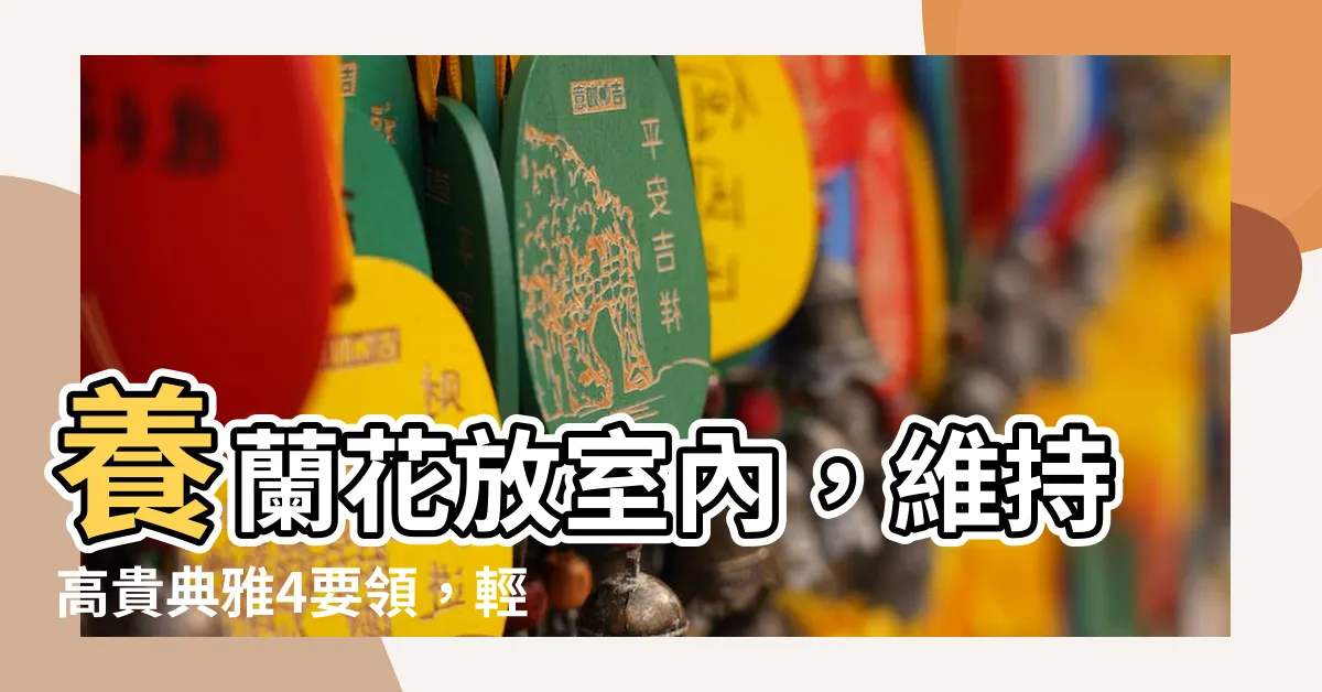 【蘭花放室內】養蘭花放室內，維持高貴典雅4要領，輕鬆掌握