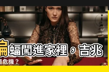 【家裡蝙蝠】蝙蝠闖進家裡，吉兆還是危機？