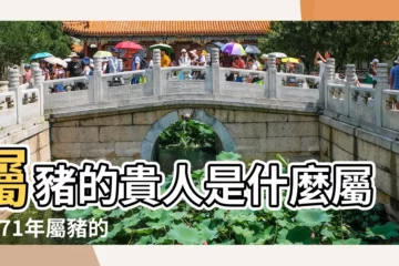 【71豬人2019年貴人是屬什麼】屬豬的貴人是什麼屬相 |71年屬豬的貴人及小人 |1971年屬豬今年貴人生肖是什麼 |