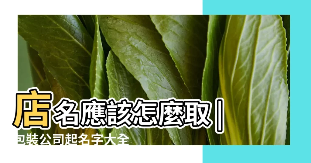 店名應該怎麼取 |包裝公司起名字大全 |營業登記流程 |【餐飲怎麼包裝自己的公司名字】