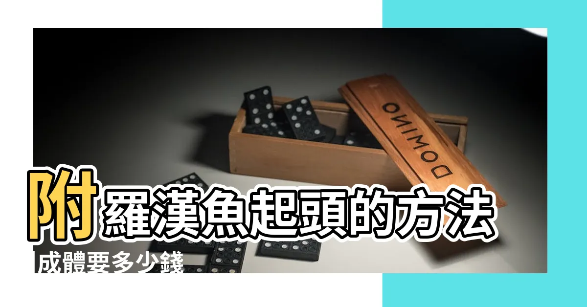 【很貴羅漢魚價格】附羅漢魚起頭的方法 |成體要多少錢 |最貴40萬的羅漢魚圖文 |