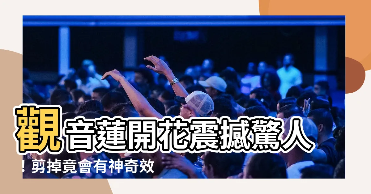 【觀音蓮開花要剪掉嗎】觀音蓮開花震撼驚人！剪掉竟會有神奇效果？