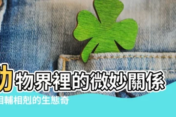 【動物之間相輔相剋的例子】動物界裡的微妙關係：相輔相剋的生態奇觀
