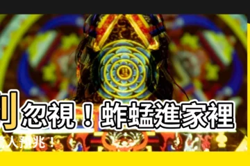 【蚱蜢進家裡】別忽視！蚱蜢進家裡的驚人預兆！