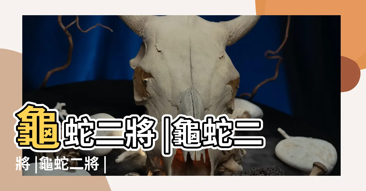 【龜蛇將軍名字】龜蛇二將 |龜蛇二將 |龜蛇二將 |
