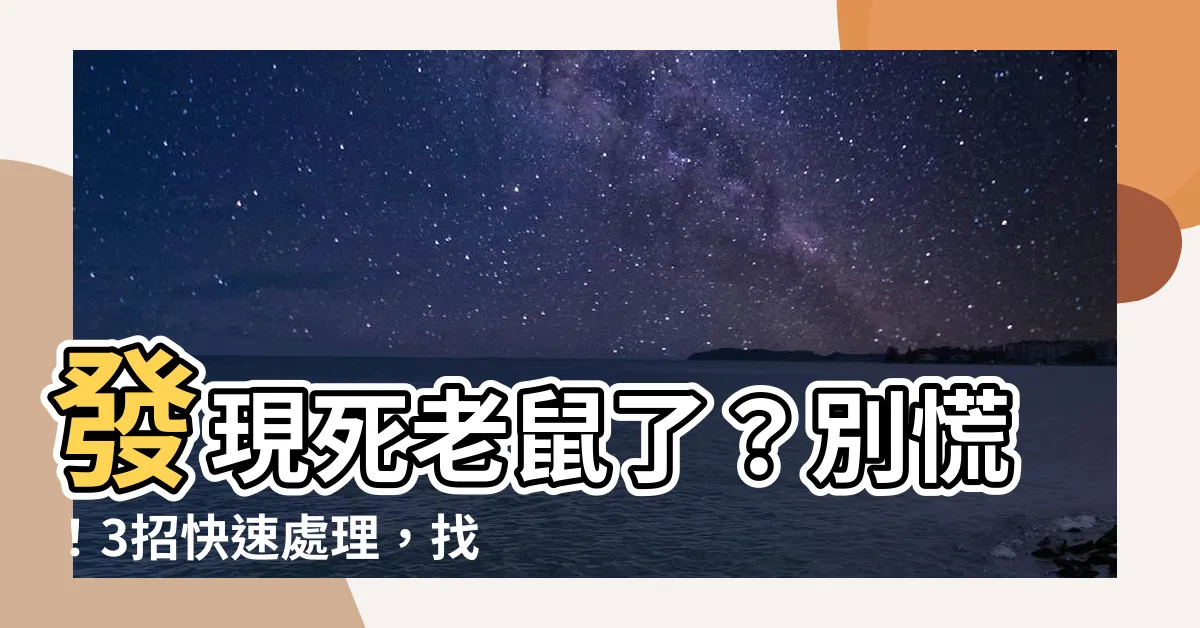 【發現死老鼠】發現死老鼠了？別慌！3招快速處理，找回清新好空氣