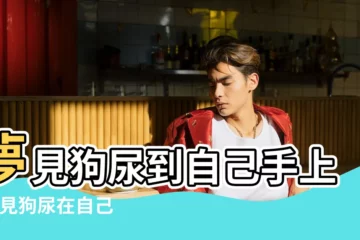 【夢見狗尿到自己手上】夢見狗尿到自己手上 |夢見狗尿在自己身上 |夢見狗尿是什麼意思 |