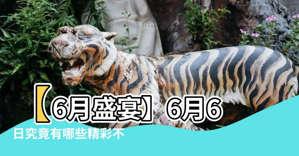 【6月初6】【6月盛宴】6月6日究竟有哪些精彩不容錯過？