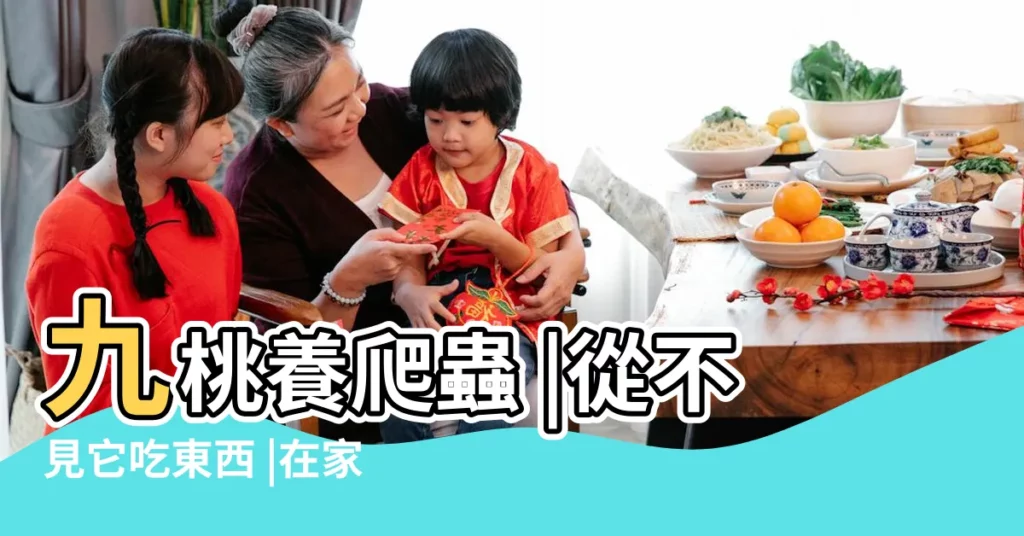 九桃養爬蟲 |從不見它吃東西 |在家放養養了個烏龜 |【烏龜在家放養】