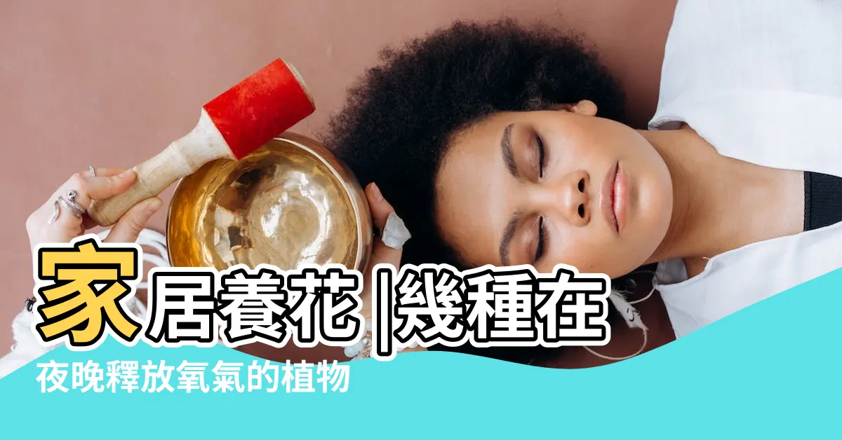 【晚上吸收二氧化碳的植物】家居養花 |幾種在夜晚釋放氧氣的植物 |夜間也能夠吸收二氧化碳 |