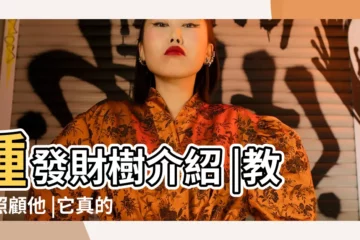 【招財樹的名字】種發財樹介紹 |教你照顧他 |它真的可以帶來財運嗎 |