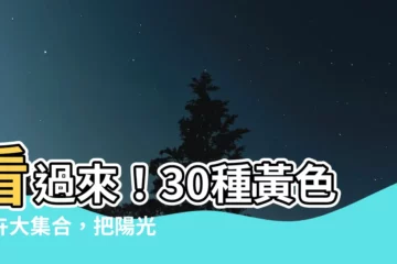 【黃色的花有哪些】看過來！30種黃色花卉大集合，把陽光燦爛送給你！
