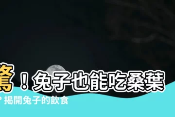 【兔子可以吃桑葉嗎】驚！兔子也能吃桑葉嗎？揭開兔子的飲食迷思