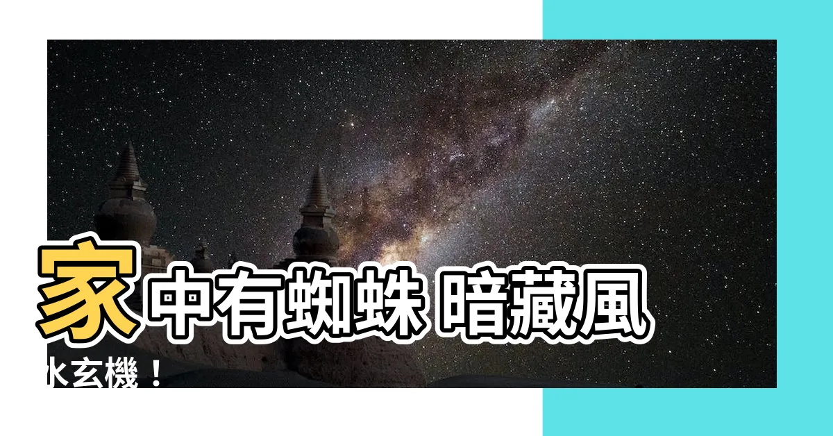 【家中有蜘蛛 風水】家中有蜘蛛 暗藏風水玄機！