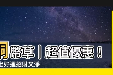 【銅幣草】銅幣草｜超值優惠！ 養出好運招財又淨化