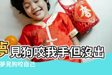 【夢見狗咬自己的手不出血】夢見狗咬我手但沒出血 |夢見狗咬自己右手沒出血夢見狗咬自己的手臂沒有出血 |女人夢見狗咬手沒出血是什麼意思 |