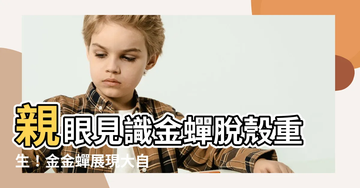 【金金蟬】親眼見識金蟬脱殼重生！金金蟬展現大自然的神奇
