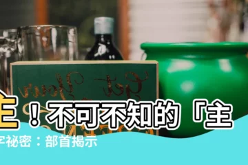 【主 部首】主！不可不知的「主」字秘密：部首揭示它真正的含義