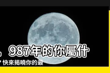【1987屬什麼】1987年的你屬什麼？快來揭曉你的最佳配偶！