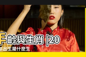 【2017年我34歲屬什麼】年齡與生肖 |2017年出生屬什麼生肖 |2017年37歲屬什麼生肖 |