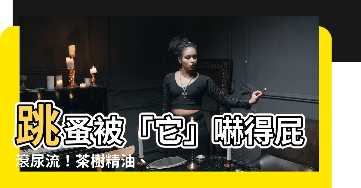 【跳蚤 茶樹精油】跳蚤被「它」嚇得屁滾尿流！茶樹精油、超有效氣味大公開
