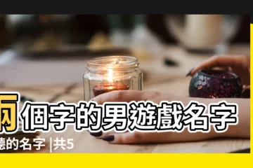 【遊戲名男生簡單兩個字】兩個字的男遊戲名字好聽的名字 |共514個 |搜索結果 |