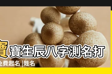 【寶寶五行八字取名測分】寶寶生辰八字測名打分免費起名 |姓名測試打分 |寶寶取名字打分免費測試最準確姓名測分算命 |
