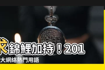 【求錦鯉 意思】求錦鯉加持！2018十大網絡熱門用語大公開