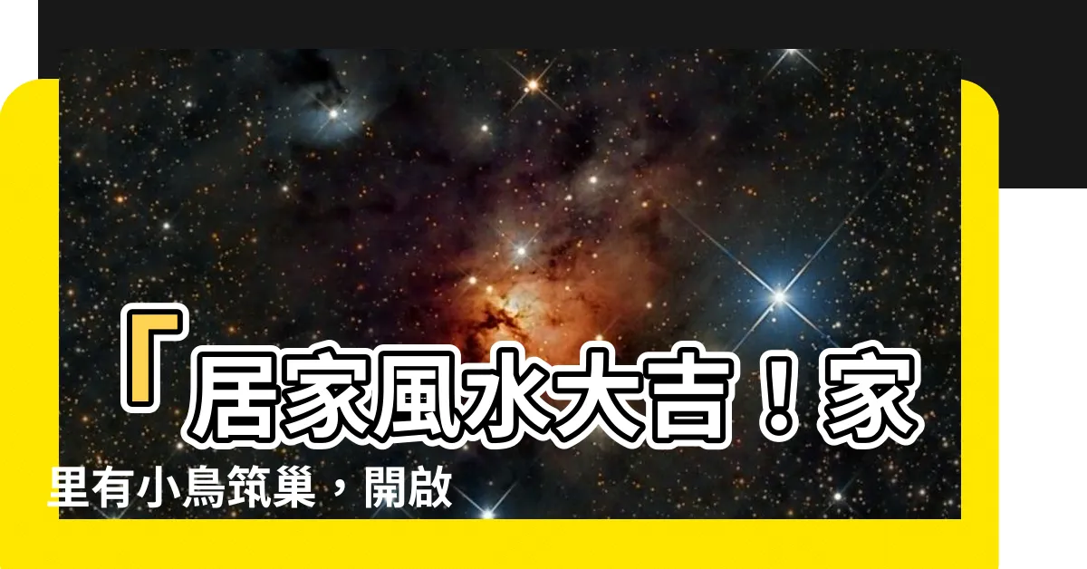 【家裏有小鳥築巢】「居家風水大吉！家裏有小鳥築巢，開啟幸福生活」