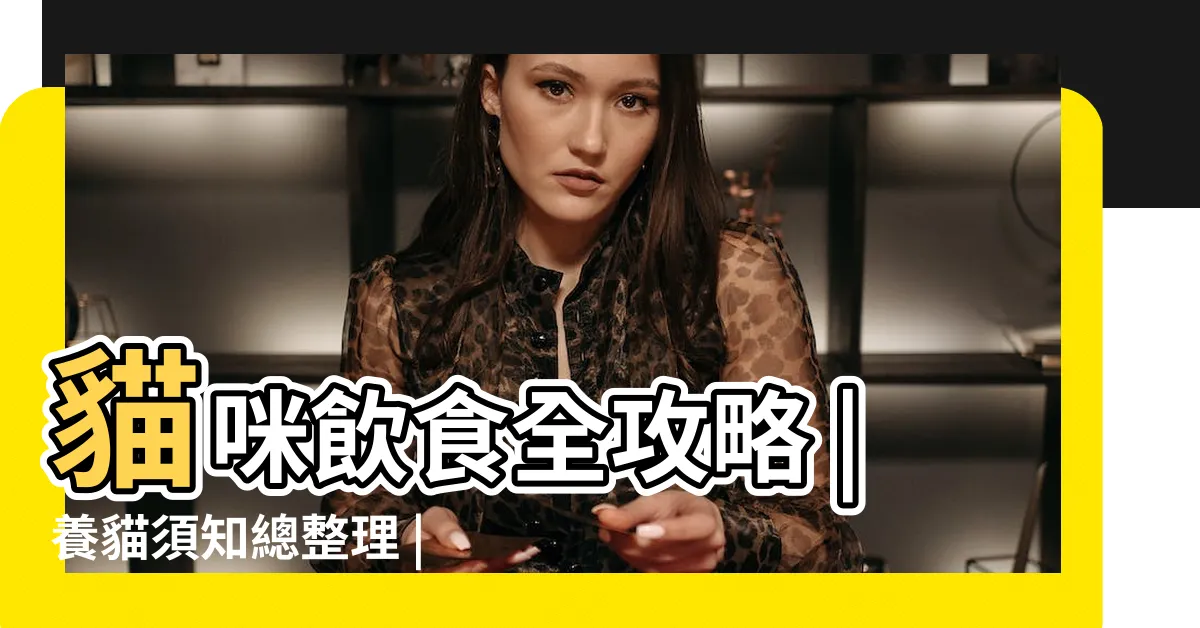 【家裡養貓】貓咪飲食全攻略 |養貓須知總整理 |養貓新手指南 |