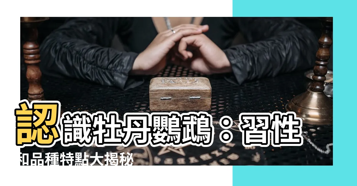 【牡丹鸚鵡習性】認識牡丹鸚鵡：習性和品種特點大揭秘